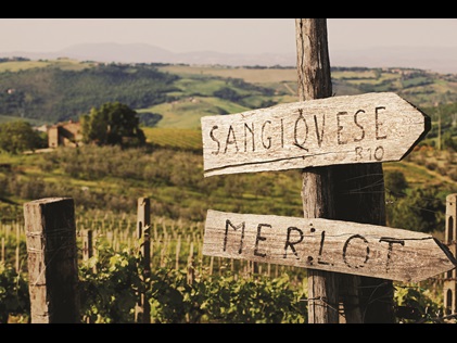 Wine tour sign, Tuscany, Italy