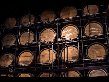 Wall lined with barrels of whisky. 