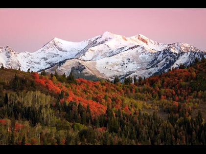Snowcapped mountains nestled among fall colored trees and pink painted sunset skies in Park City, Utah. 