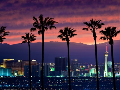 View of palm tree silhouettes and the Las Vegas Strip at sunset
