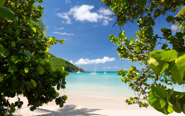 Point of view image, view peaceful beach scene, white sands and sailbaot on turquiose waters through tropical greenery, Sint Maarten, Caribbean. 