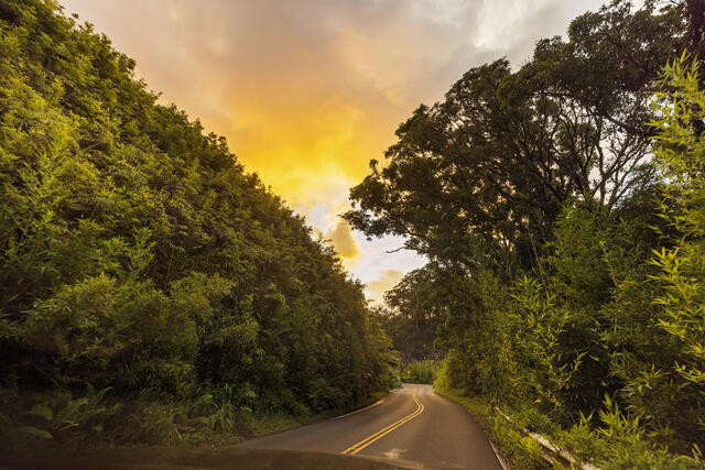 Picturesque image, Road to Hana, Maui, Hawaii. 