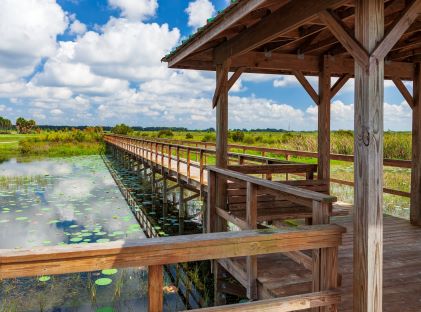 A view from a boardwalk observation deck over a lake in Central Florida, near Kissimmee