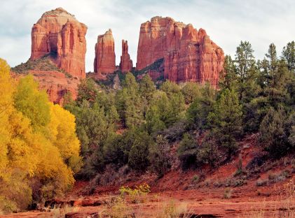 Fall foliage at Cathedral Rock in Sedona, Arizona