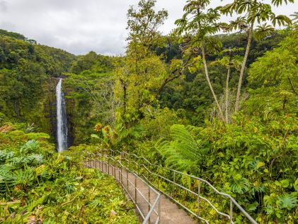 Akaka Falls on the Big Island Hawaii