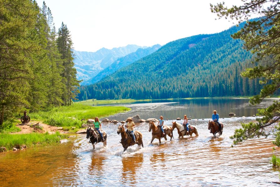 Horseback riding tour, crossing stream, Breckenridge, Colorado.