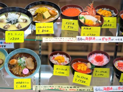 A display case of bowls of food and prices in Japan