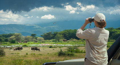 A female tourist on safari in Africa using binoculars to watch wildebeest and elephants in the wild savanna, Manyara National Park
