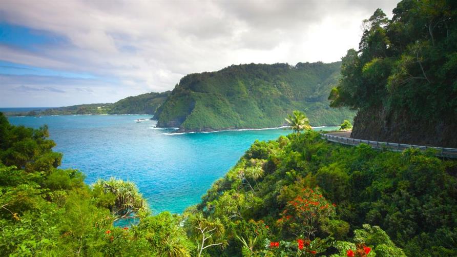 Hana Highway in Maui, with verdant forests and blue ocean