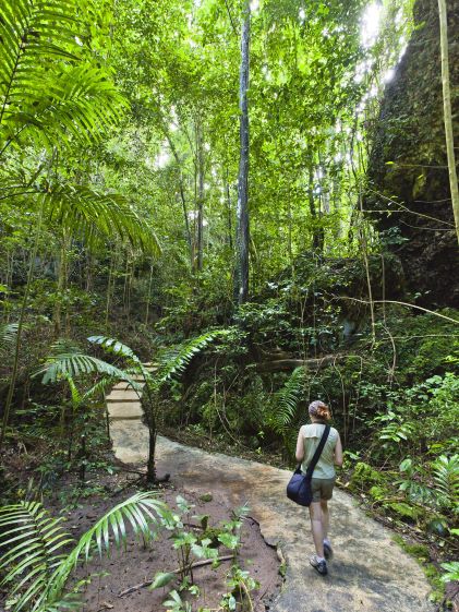 Lush foliage and a walker on a path at Welchman Hall Gully in Barbados