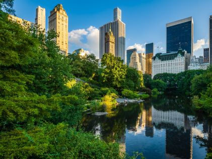 Skyscrapers surround Central Park pond and greenery in New York City