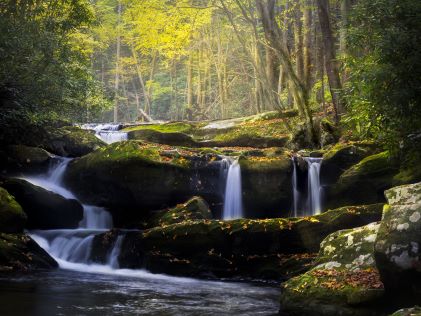 Small waterfall surrounded by autumnal trees in the Great Smoky Mountains National Park near Gatlinburg, Tennessee