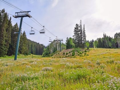 Ski lift in Park City, Utah, during the summer, when the slopes are covered in golden grasses and wildflowers