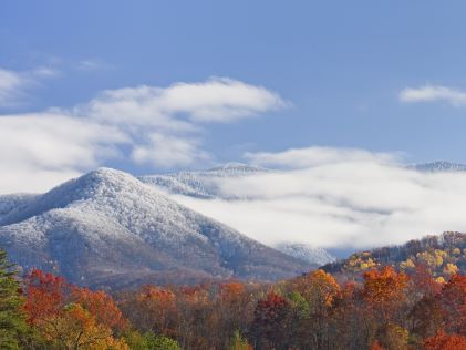 Snowy hills and autumn foliage in the Smoky Mountains