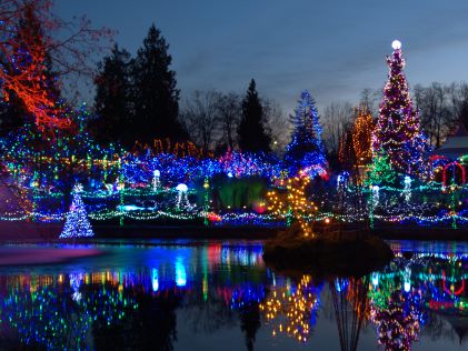 Holiday lights display at night