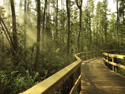 A boardwalk through one of Central Florida's nature parks