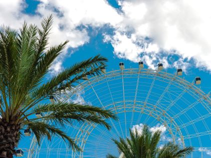 Observation wheel and palm trees at Orlando's ICON Park 