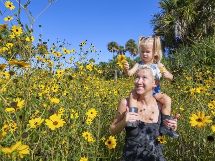 A grandchild sits on a grandparents shoulders while walking through a field of yellow flowers at Harry P. Leu Gardens in Orlando