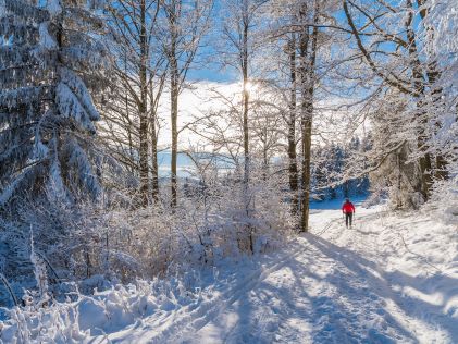 A cross country skier in Breckenridge, Colorado