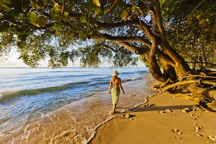 Elegant woman strolling along deep golden sands under tropical overhanging tree just where the ocean meets the shore in Barbados.