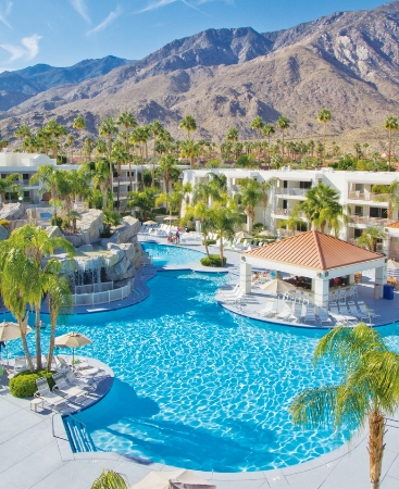 Overhead view of the pool at Palm Canyon Resort surrounded by palm trees with the Southern California mountains in the background.